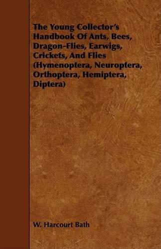 The Young Collector's Handbook Of Ants, Bees, Dragon-Flies, Earwigs, Crickets, And Flies (Hymenoptera, Neuroptera, Orthoptera, Hemiptera, Diptera)