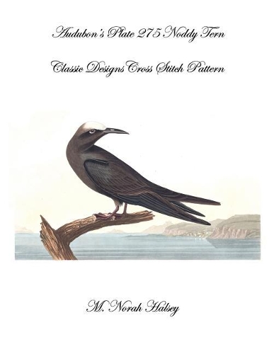 Audubon's Plate 275 Noddy Tern