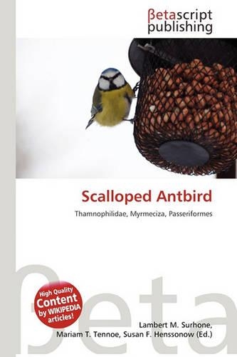 Scalloped Antbird