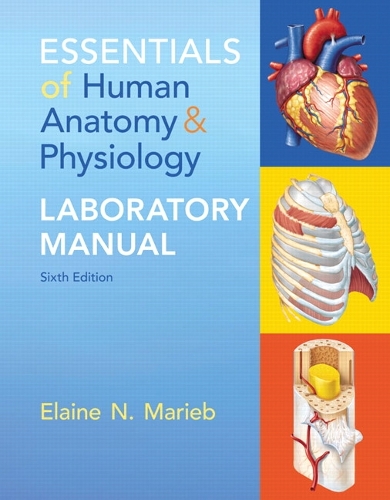 Essentials of Human Anatomy & Physiology Laboratory Manual (2-downloads)