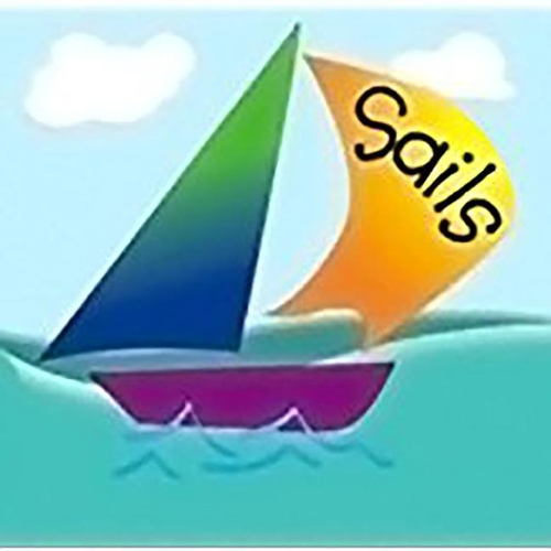 Rigby Sails Launching Fluency: Single Copy Collection Nonfiction Orange (Set 1)(Rigby Sails Launching Fluency)