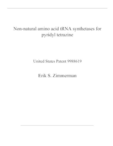 Non-natural amino acid tRNA synthetases for pyridyl tetrazine