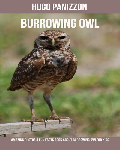 Burrowing Owl: Amazing Photos & Fun Facts Book about Burrowing Owl for Kids