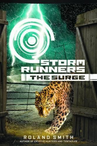 Storm Runners