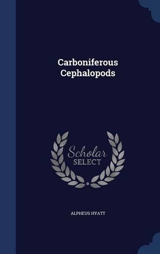Carboniferous Cephalopods
