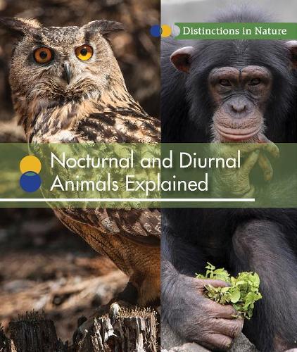 Nocturnal and Diurnal Animals Explained: (Distinctions in Nature)