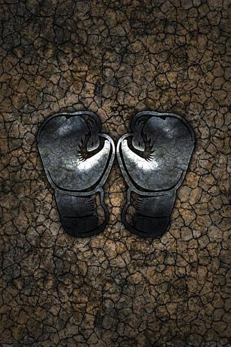 Monogram Boxing Journal