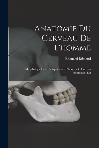 Anatomie Du Cerveau De L'homme