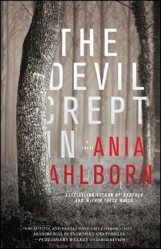 The Devil Crept In: A Novel(English)
