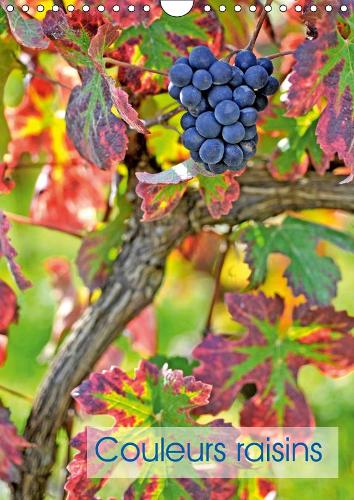 Couleurs raisins 2019