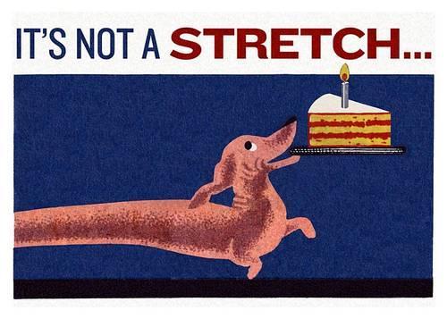 Dachsund with a Cake Birthday Card