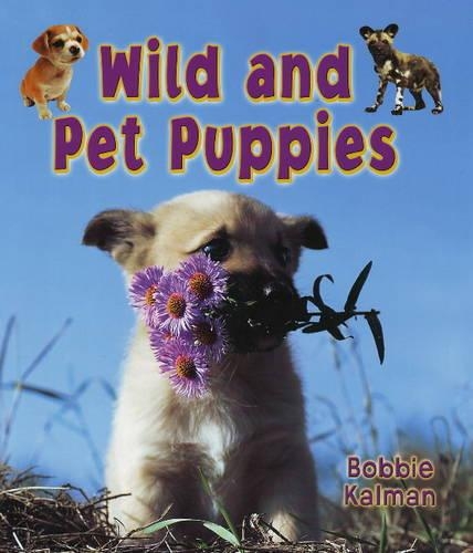 Wild and Pet Puppies: (Its Fun to Learn About Baby Animals)