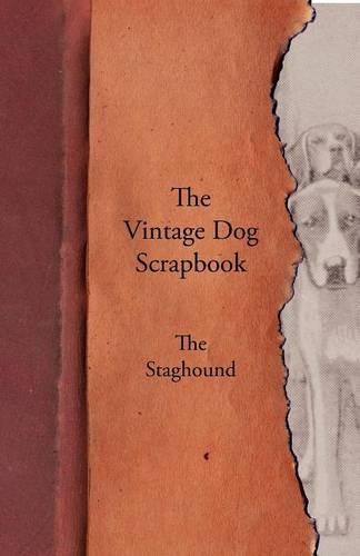 The Vintage Dog Scrapbook - The Staghound