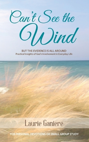 Can't See the Wind: But the Evidence is All Around - Practical Insights of God's Involvement in Everyday Life(English)