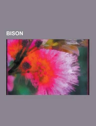 Bison