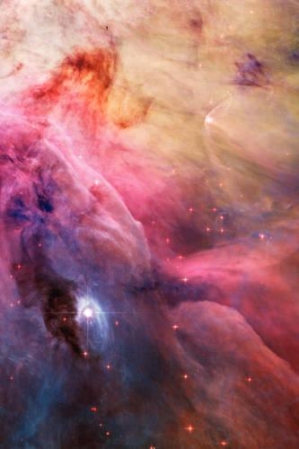 Reflections on Selected Scriptures