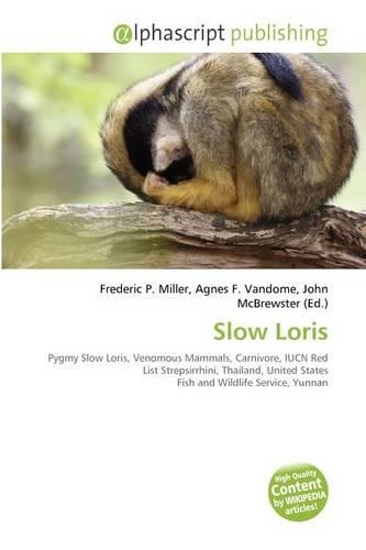 Slow Loris