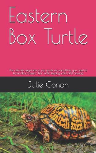 Eastern Box Turtle