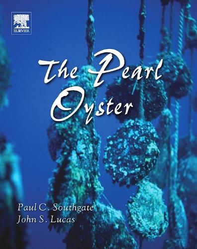 Pearl Oyster