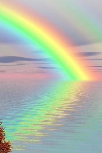 I Support Same Sex Marriage