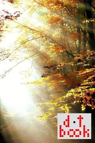 The Dot Book - A Dot Grid Notebook for Graphic Designers - Light Series - 023