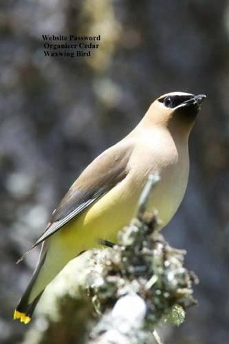Website Password Organizer Cedar Waxwing Bird
