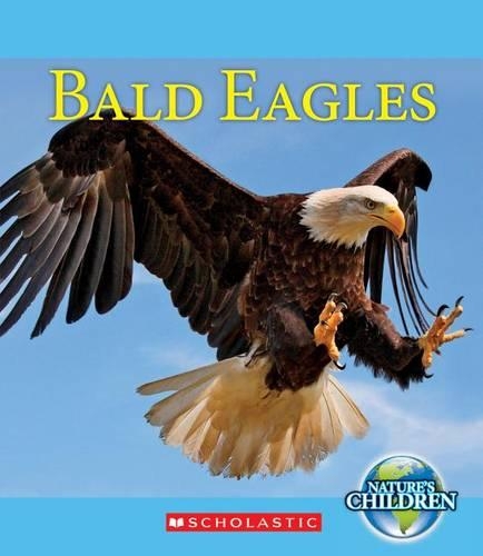 Bald Eagles