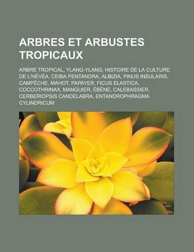 Arbres Et Arbustes Tropicaux