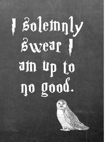I Solemnly Swear I Am Up to No Good.