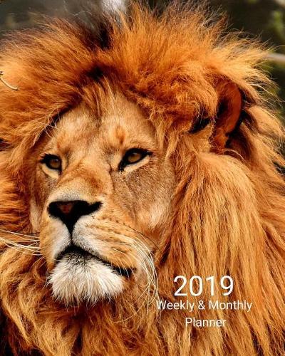 2019 Weekly and Monthly Planner