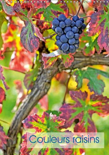 Couleurs raisins 2019