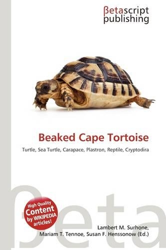 Beaked Cape Tortoise