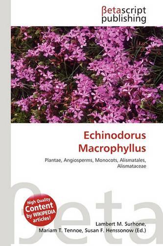 Echinodorus Macrophyllus