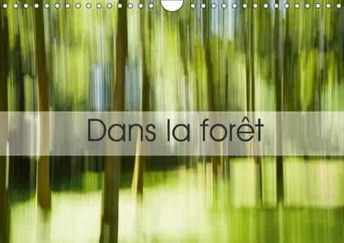 Dans la forêt 2016