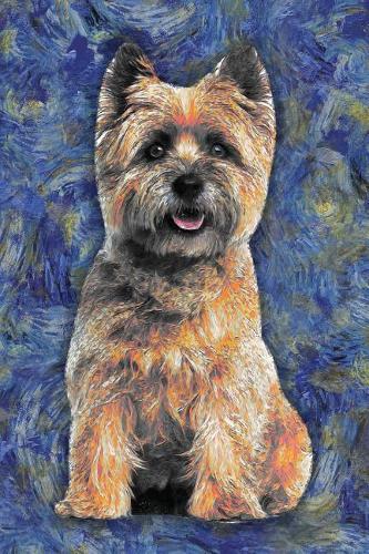 Cairn Terrier
