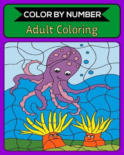 Color By Number Adult Coloring