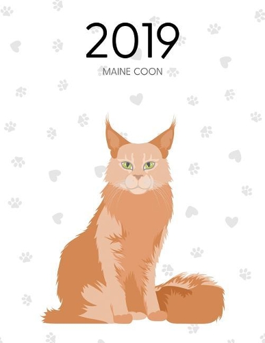 2019 Maine Coon