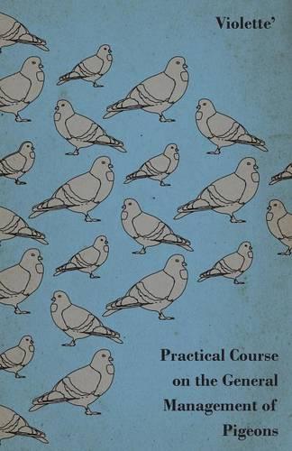 Practical Course on the General Management of Pigeons