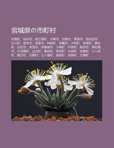 G Ng Cheng Xianno Shi T Ng C N