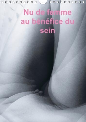 Nu De Femme Au Benefice Du Sein 2018: Photos De Nu Feminin, Tout Specialement De Seins Pour La Lutte Contre Le Cancer Du Sein.(Calvendo Personnes)