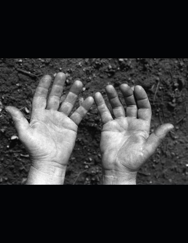 Rots À pleines dents Les grenouilles: romance fantastique