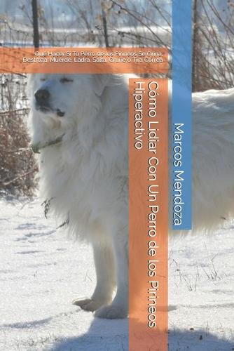 Cómo Lidiar Con Un Perro de los Pirineos Hiperactivo: Qué Hacer Si Tu Perro de los Pirineos Se Orina, Destroza, Muerde, Ladra, Salta, Gruñe o Tira Correa