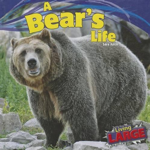 A Bear's Life: (Living Large)