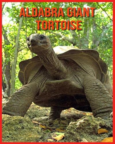 Aldabra Giant Tortoise: Childrens Book Amazing Facts & Pictures about Aldabra Giant Tortoise