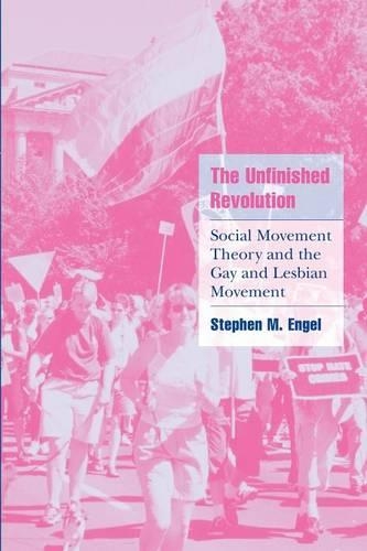 The Unfinished Revolution: Social Movement Theory and the Gay and Lesbian Movement(Cambridge Cultural Social Studies)