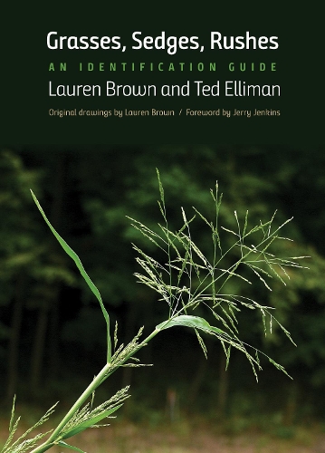 Grasses, Sedges, Rushes