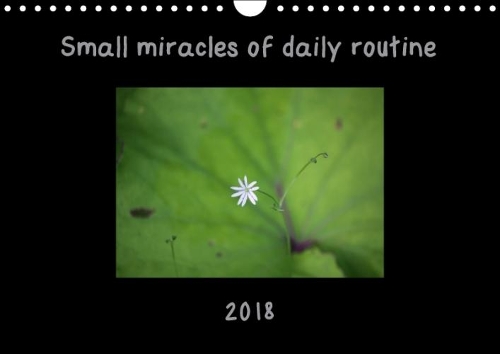Small Miracles of Daily Routine 2018
