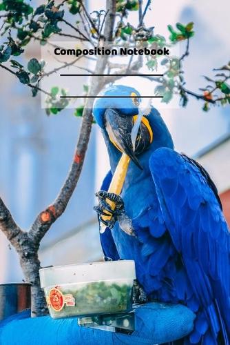Composition Notebook: Cute Parrot Tropical Birds Vacation Themed Notebook or Journal