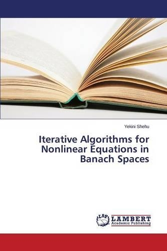 Iterative Algorithms for Nonlinear Equations in Banach Spaces