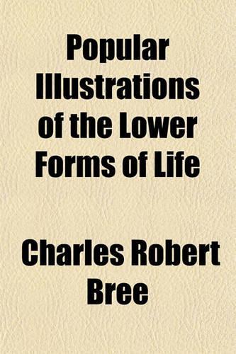 Popular Illustrations of the Lower Forms of Life: (English)